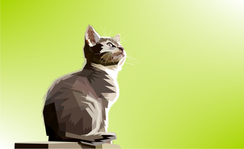 Animal colorful digital prints 4