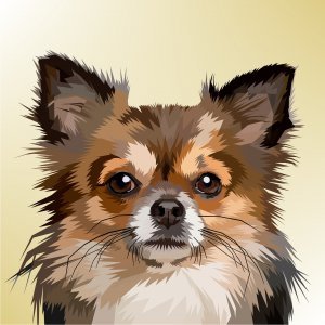 Animal colorful digital prints 3